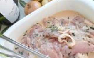 ТОП лучших вариантов маринада для куриных грудок. Какой маринад для шашлыка из куриных грудок самый вкусный?