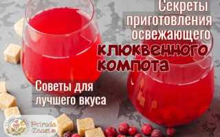Компот из замороженной клюквы: рецепт приготовления. Польза и вред клюквы для здоровья