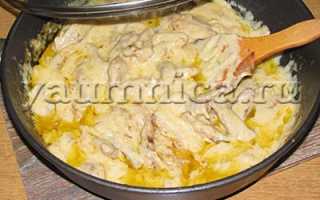 Мясо по-горски: кавказский бефстроганов – Это Кавказ