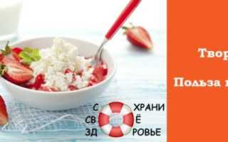 Обезжиренный творог: польза и вред для организма. Можно ли кушать его на ночь?