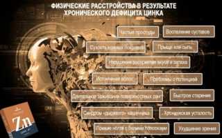 В каких продуктах содержится цинк больше всего